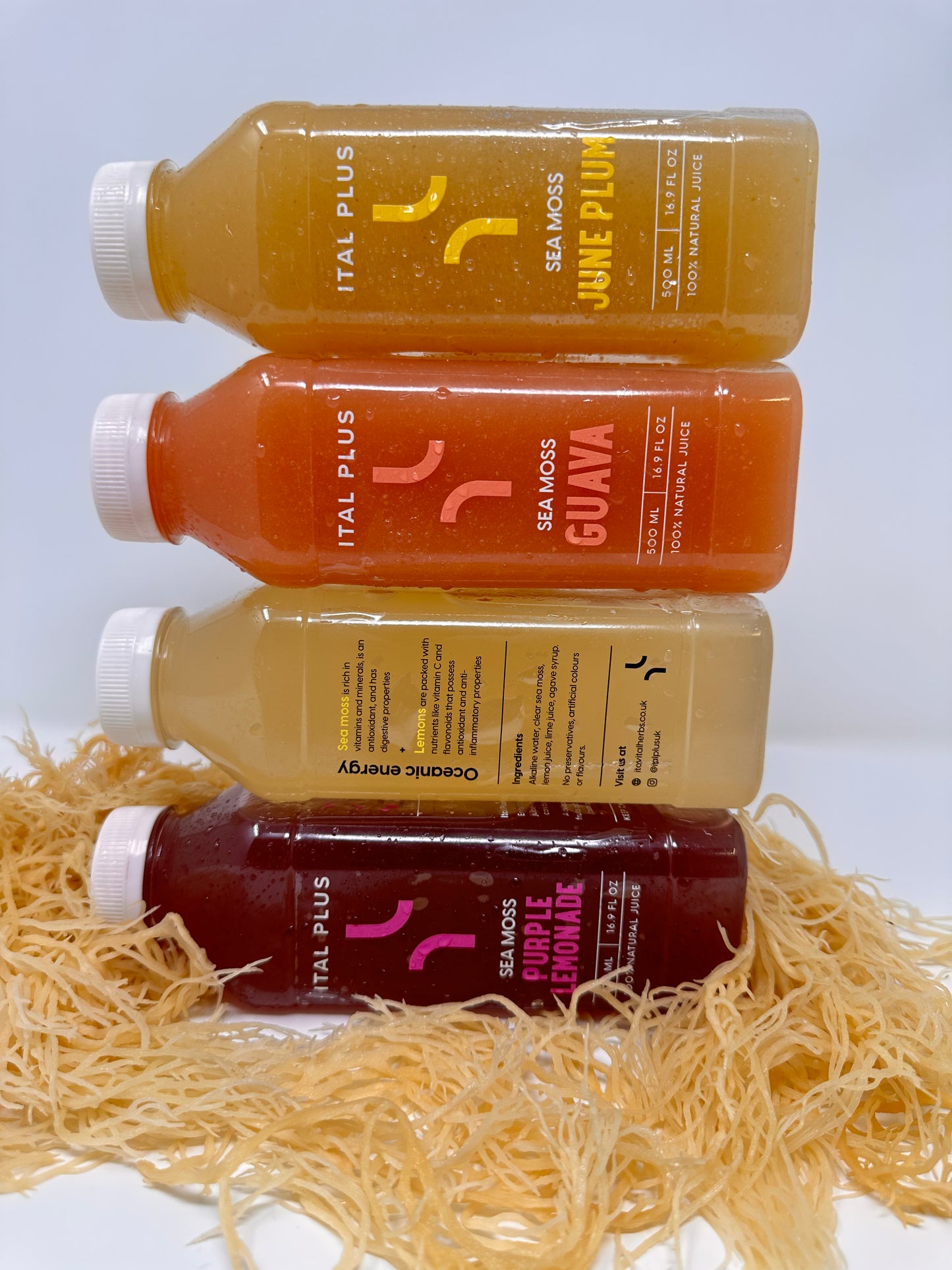 Sea Moss Lemonade - 4 Pack (500ml Bottles)