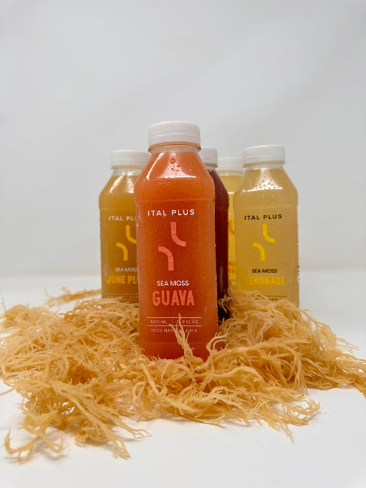 Guava Sea Moss Juice – 4 Pack (500ml Bottles)