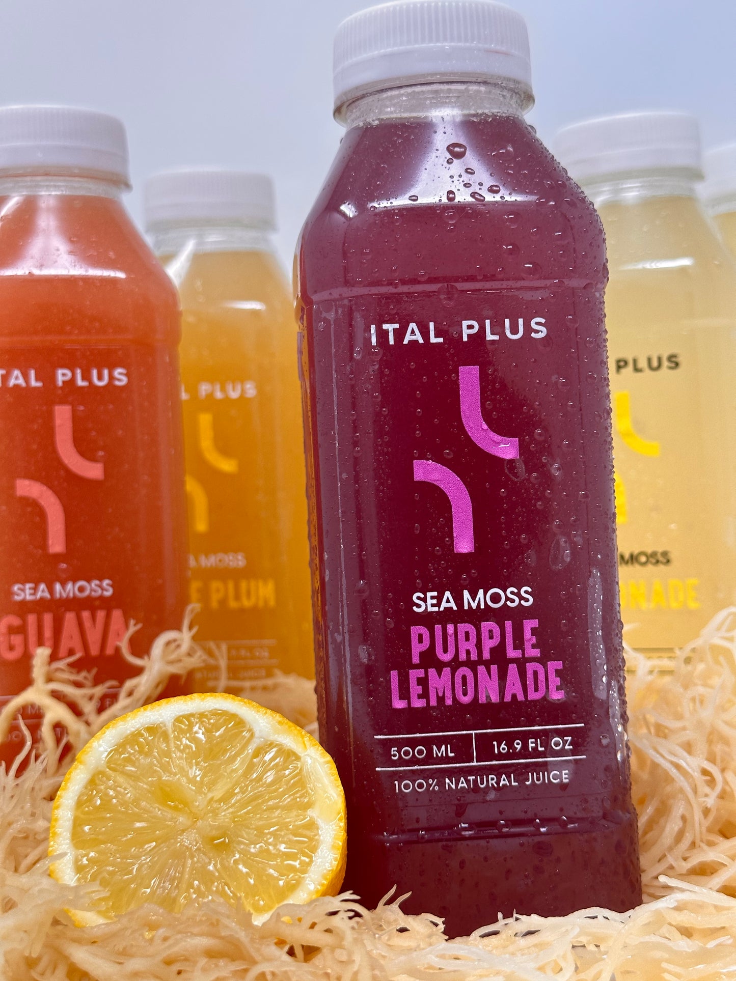 Purple Sea Moss Lemonade – 4 Pack (500ml Bottles)