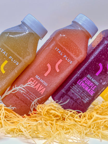 Guava Sea Moss Juice – 4 Pack (500ml Bottles)