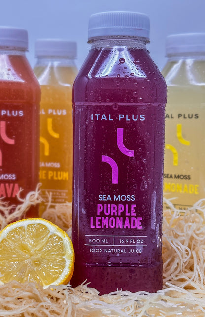 Purple Sea Moss Lemonade – 4 Pack (500ml Bottles)