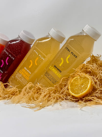 Sea Moss Lemonade - 4 Pack (500ml Bottles)
