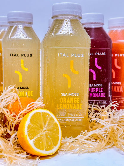 Sea Moss Orange Lemonade Juice – 4 Pack (500ml Bottles)