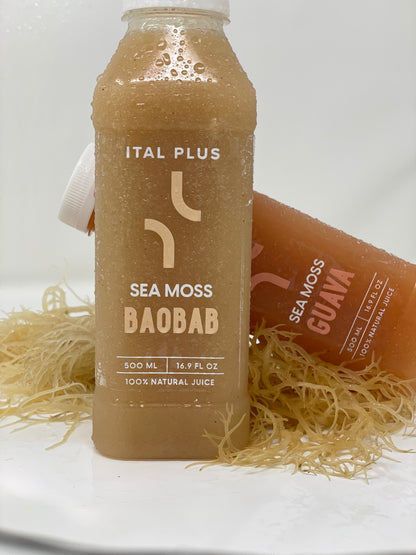 Sea Moss Baobab Juice – 4 Pack (500ml Bottles)