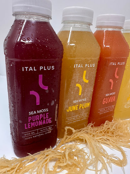 Purple Sea Moss Lemonade – 4 Pack (500ml Bottles)