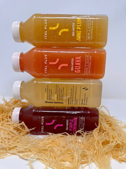 Sea Moss Lemonade - 4 Pack (500ml Bottles)