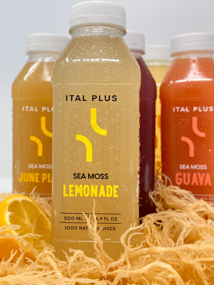 Sea Moss Lemonade - 4 Pack (500ml Bottles)