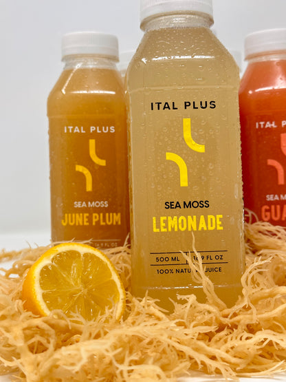 Sea Moss Lemonade - 4 Pack (500ml Bottles)